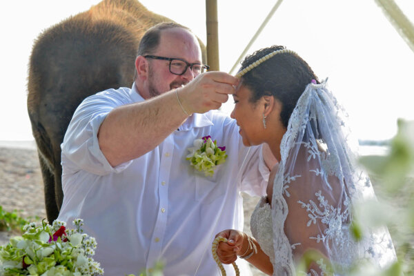 Elephant Thai Marriage @ Beach