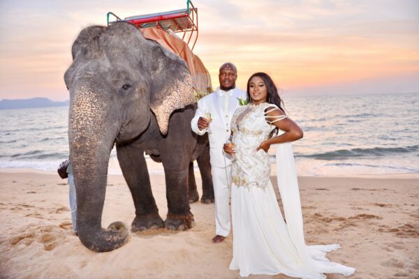 Pattaya Elephant Wedding