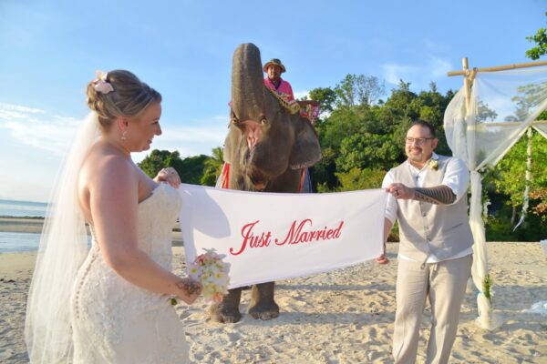 Samui Elephant Wedding